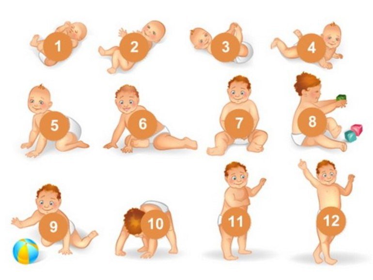 Що повинен УМІТИ ДИТИНА з народження до 1 року: календар розвитку по місяцях | Сімя і мама